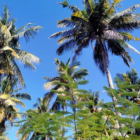 Exotic House Villa Gili Meno Ngoại thất bức ảnh
