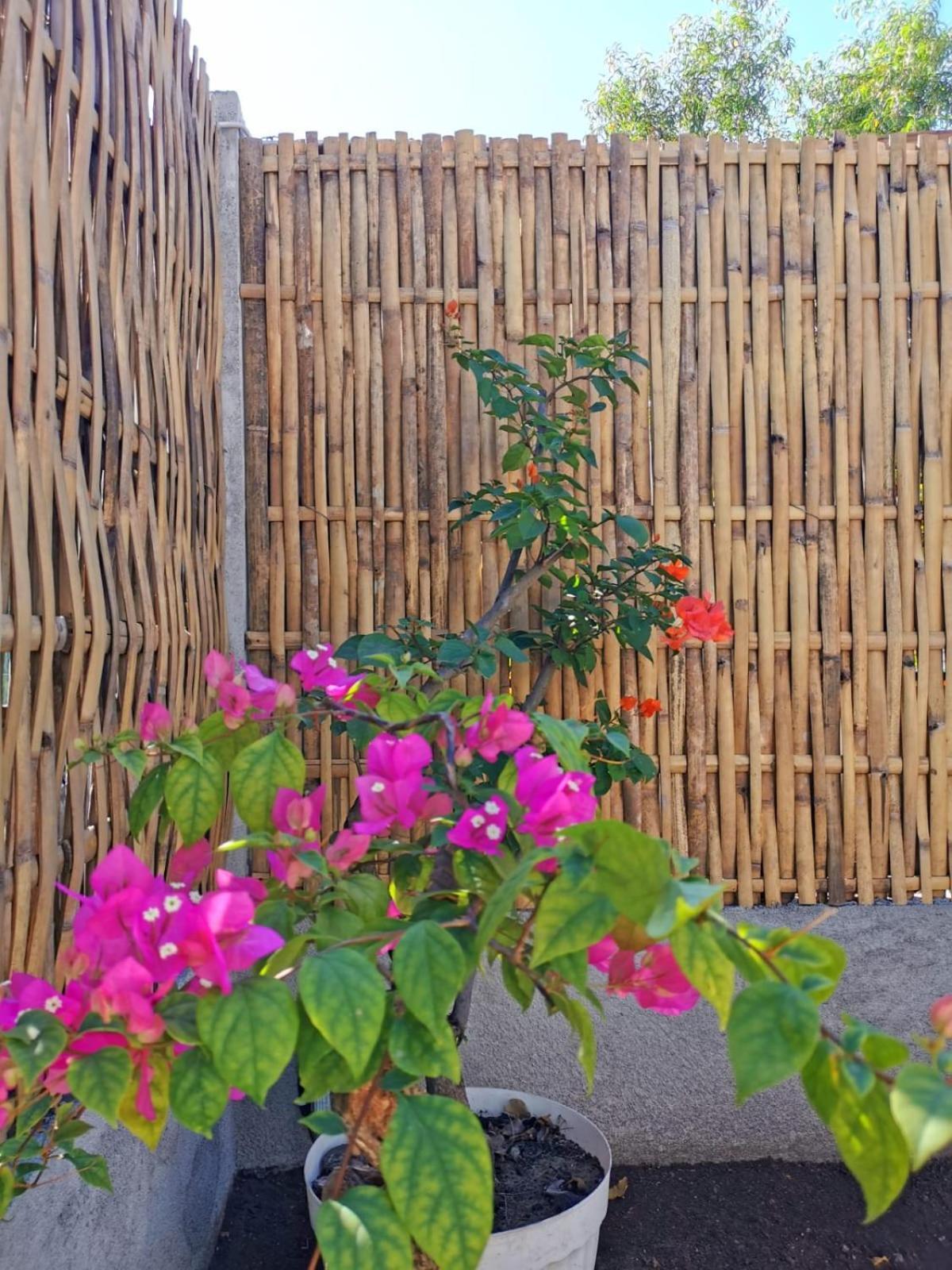 Exotic House Villa Gili Meno Ngoại thất bức ảnh