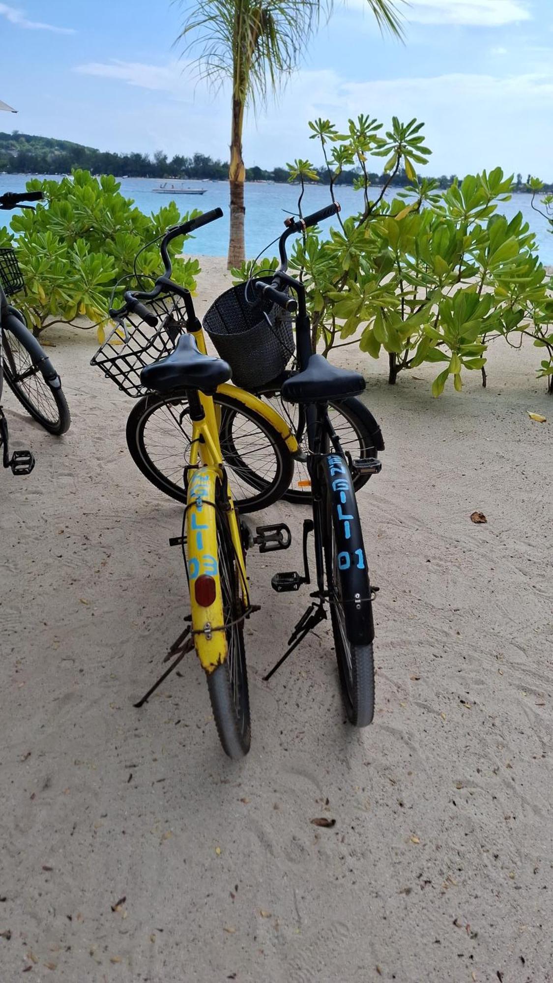 Exotic House Villa Gili Meno Phòng bức ảnh