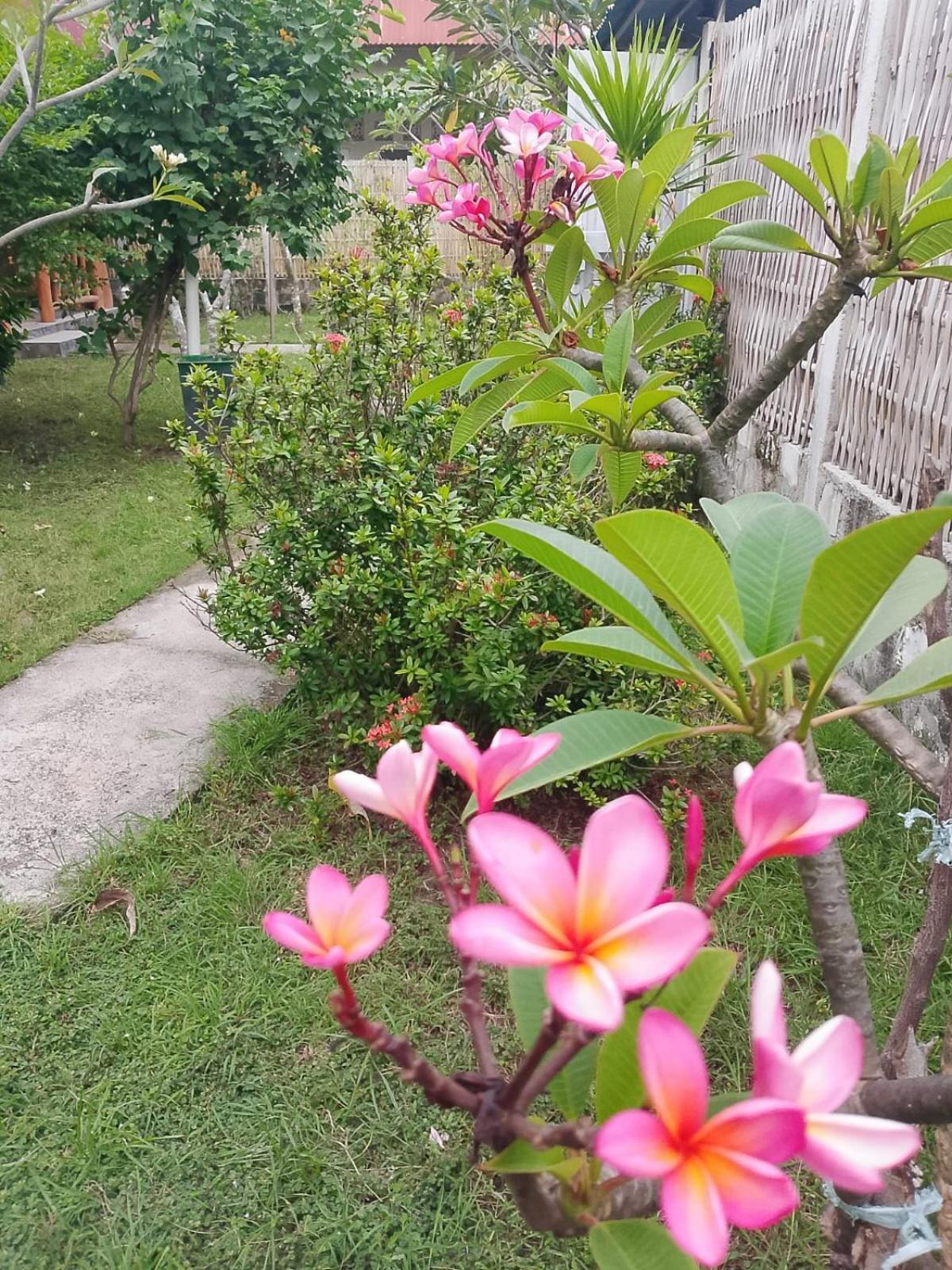 Exotic House Villa Gili Meno Phòng bức ảnh